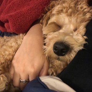 Meet your Posher, Sonya